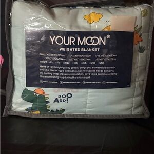 Weighted Blanket - Green Dinosaur Design